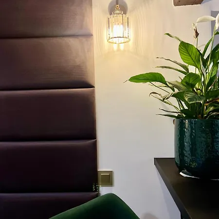 Le Petit Carlthon Apartment Cannes