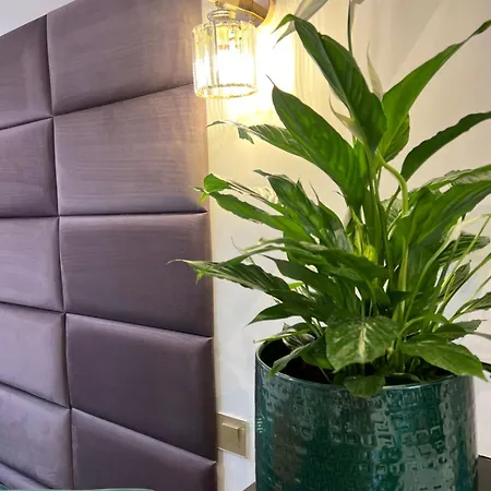 Apartment Le Petit Carlthon Cannes